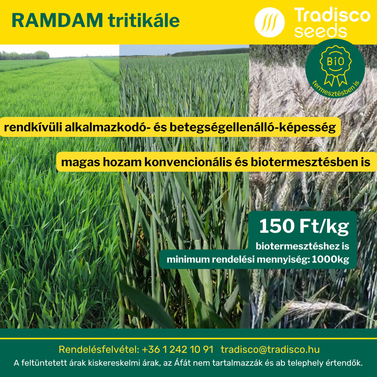 tradisco ramdam tritikálé